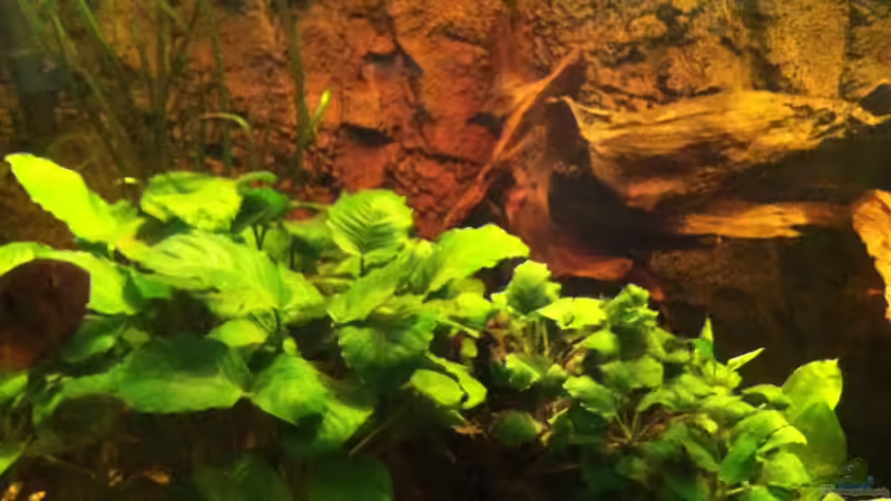 Bild2 von American Stone (6)