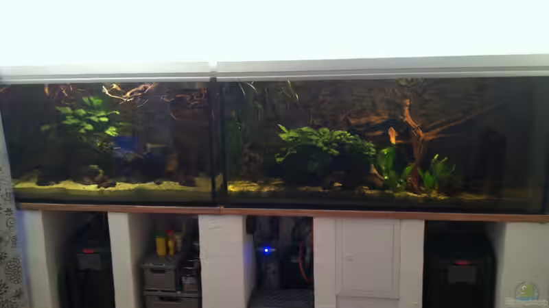 Bild3 von American Stone (4)