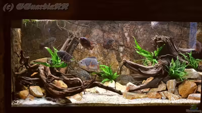 Bildausschnitt der linken Seite, Stand: 22.10.2011 von GGuardiaNN (3)