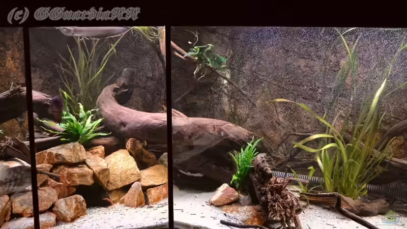 Bildausschnitt der Mitte und Teilen von Rechts, Stand: 22.10.2011  von GGuardiaNN (9)