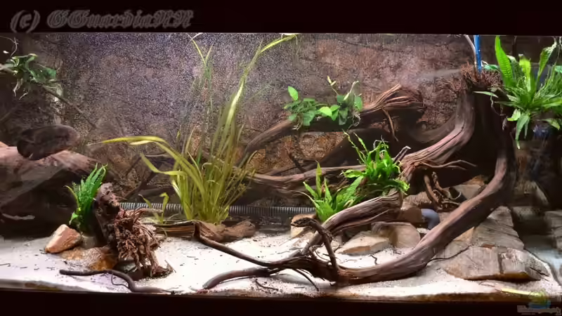 Bildausschnitt der rechte Seite, Stand: 22.10.2011 von GGuardiaNN (7)