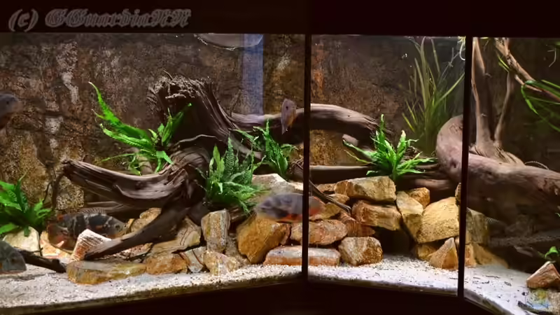 Bildausschnitt Links und Mitte, Stand: 22.10.2011 von GGuardiaNN (4)