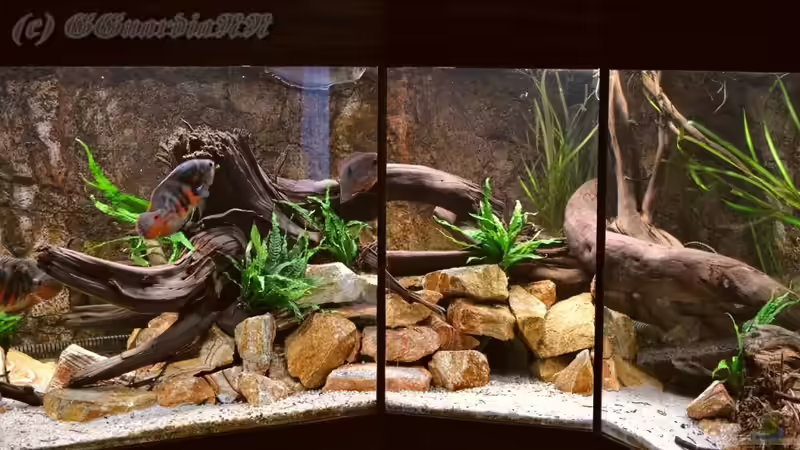 Bildausschnitt Links und Mitte 2, Stand: 22.10.2011 von GGuardiaNN (6)