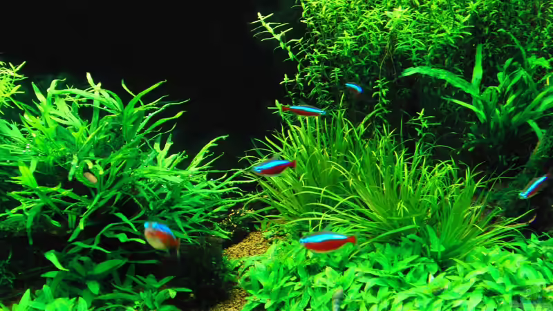 Bildausschnitt Mitte von Dario (5)