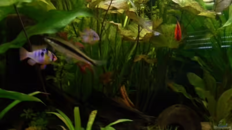 Bildausschnitt von Christian Peuser (3)