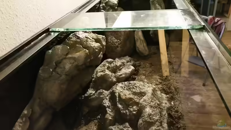 Bilder aus ´Erstgestaltung´ von StevenS (18)