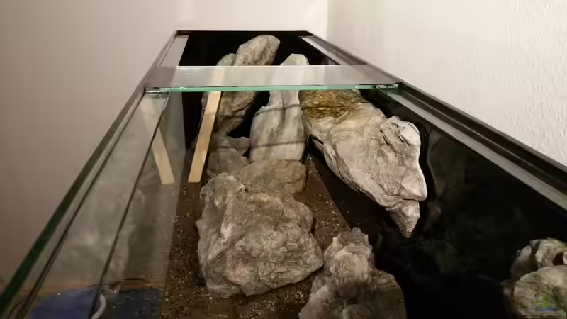 Bilder aus ´Erstgestaltung´ von StevenS (19)