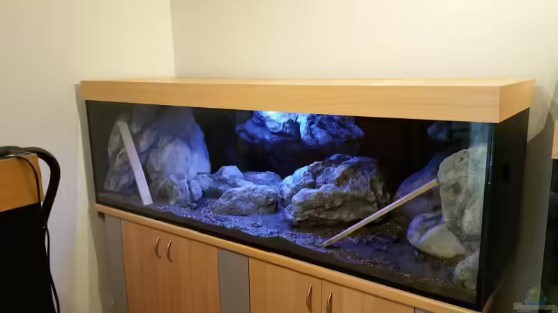 Bilder aus ´Erstgestaltung´ von StevenS (21)