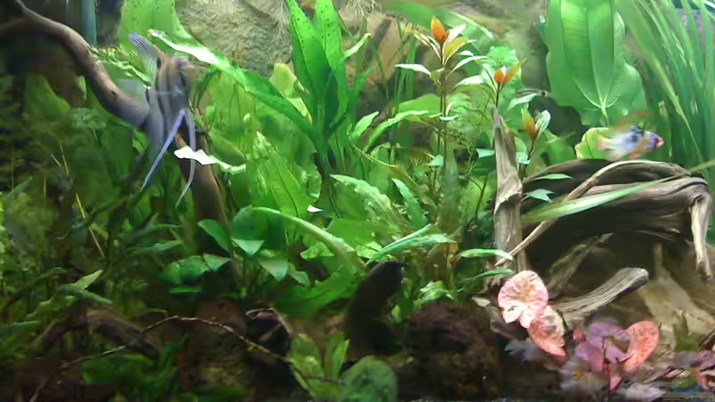 bilder bessere macht meine kamera nicht von Björn Berg (2)