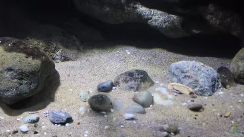 Bilder Eindrücke der Sandzone von Florian Bandhauer (46)