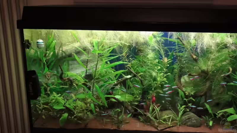 Bilder vom 11.10.10 von Franz Wüest (4)