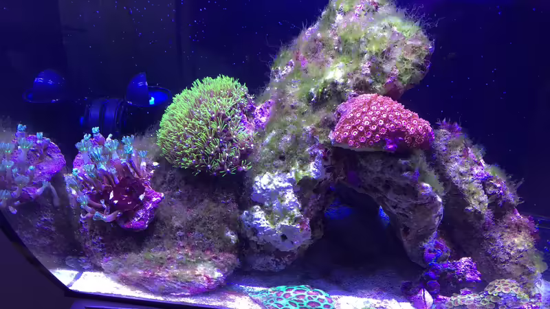 Bilder vom 11.11.2017 von mmbm78! (2)