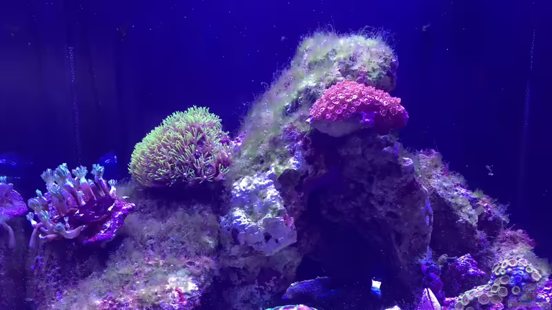 Bilder vom 11.11.2017 von mmbm78! (3)