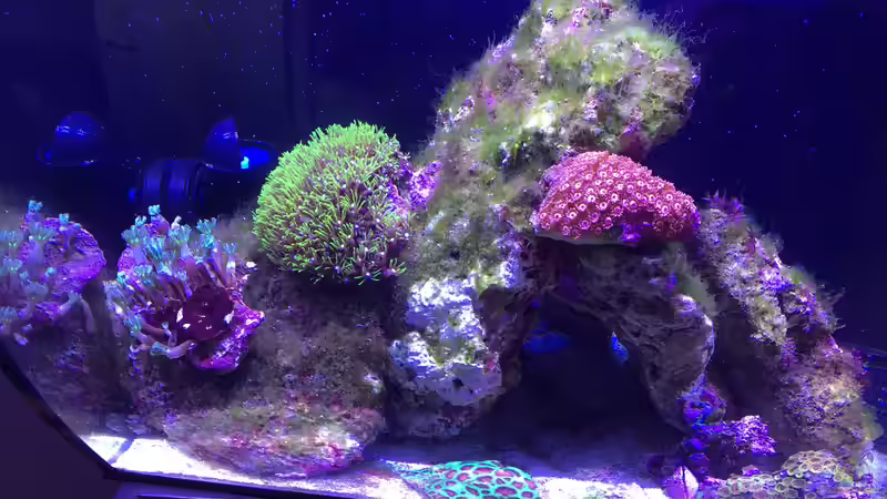 Bilder vom 11.11.2017 von mmbm78! (4)