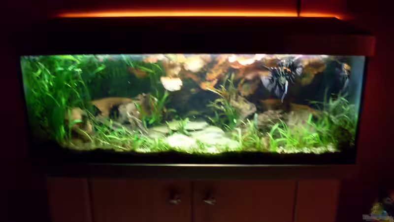 Bildupdate 07.11.2013 von Kleiner_Fisch (22)