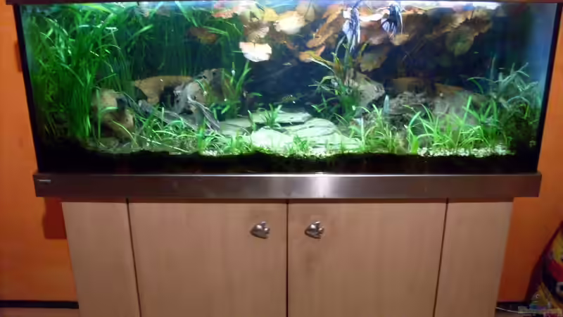 Bildupdate 07.11.2013 von Kleiner_Fisch (38)