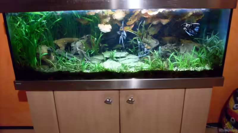 Bildupdate 07.11.2013 von Kleiner_Fisch (42)