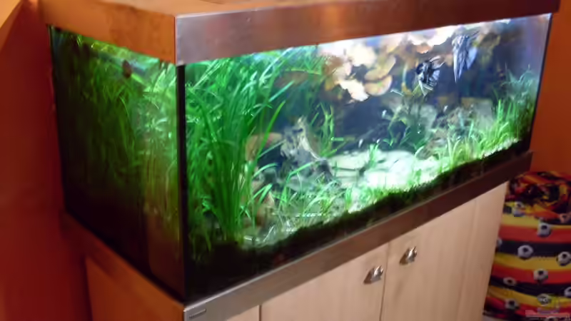 Bildupdate 07.11.2013 von Kleiner_Fisch (44)