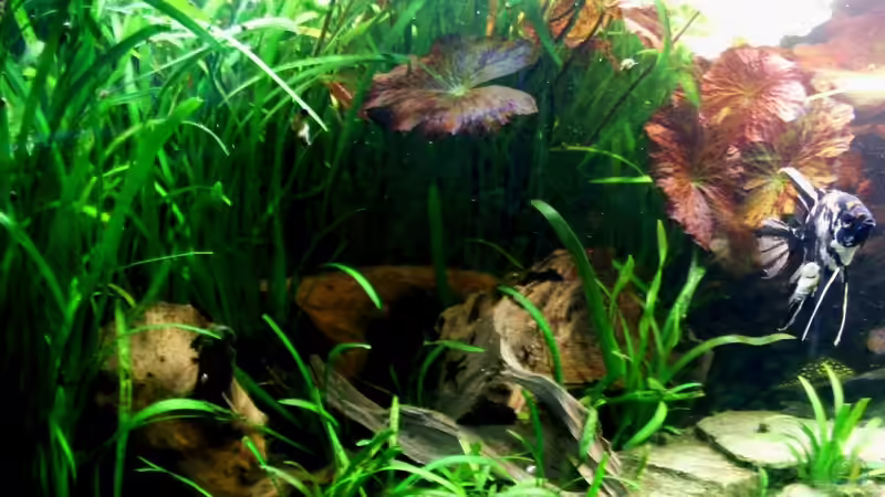 Bildupdate 17.11.2013 von Kleiner_Fisch (49)