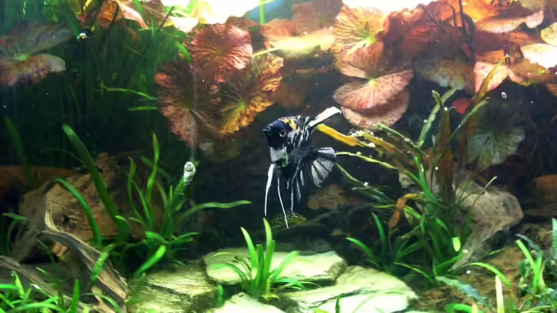 Bildupdate 17.11.2013 von Kleiner_Fisch (51)