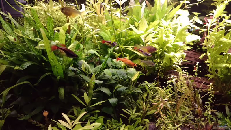 Bildupdate am 17.12.2023 von C-NA (20)