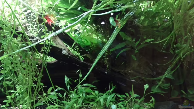 Bildupdate am 17.12.2023 von C-NA (25)