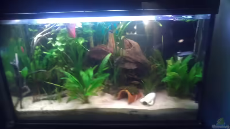 Bin kein Fotograf, vorallem mit dem Handy ^^ von Tobi L. (7)