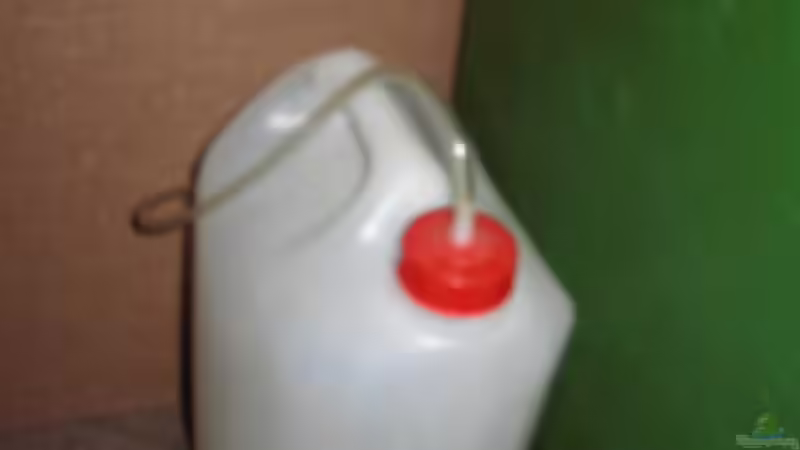 Bio Co ² von Südamerikafreak BK (11)