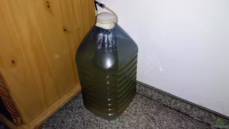 Bio co² Generator (8 Liter Mineralwasserflasche). - Bild vom 22.08.2018 von Mike Steidl (18)