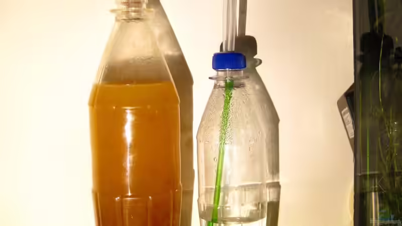 Bio CO² ´Reaktor mit Spülflasche´ von Nanu (23)