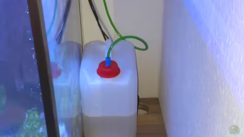 Bio-CO² von raubsau (53)