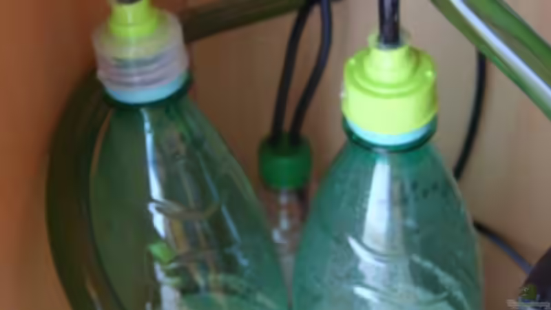 Bio Co2 (14.05.2008) von Domi (22)