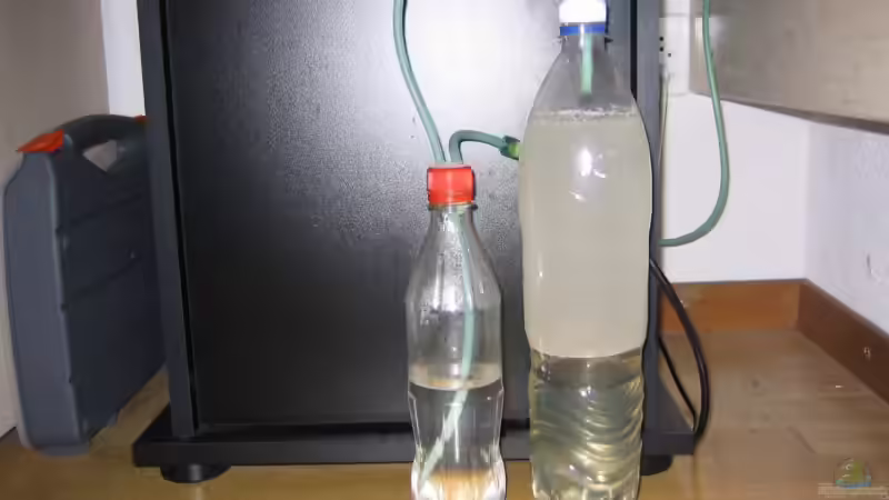 Bio Co2 anlage, selber gemacht von Bruno Leuenberger (8)