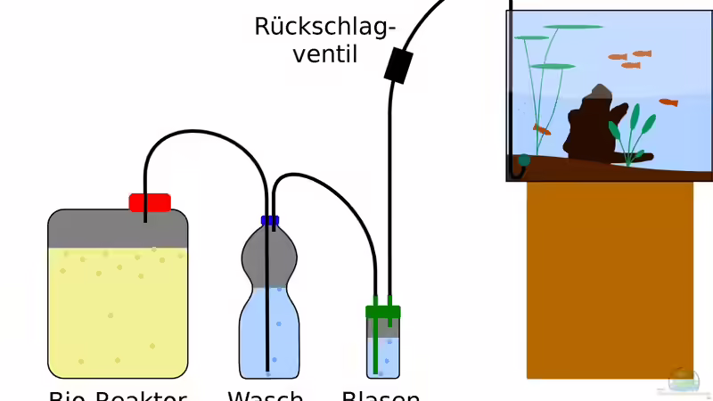 Bio-CO2-Anlage (seit Oktober 2013 durch Druckgasanlage ersetzt) von c-th (16)