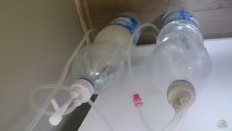 Bio-Co2-Anlage von Aquaristik-Padawan (35)