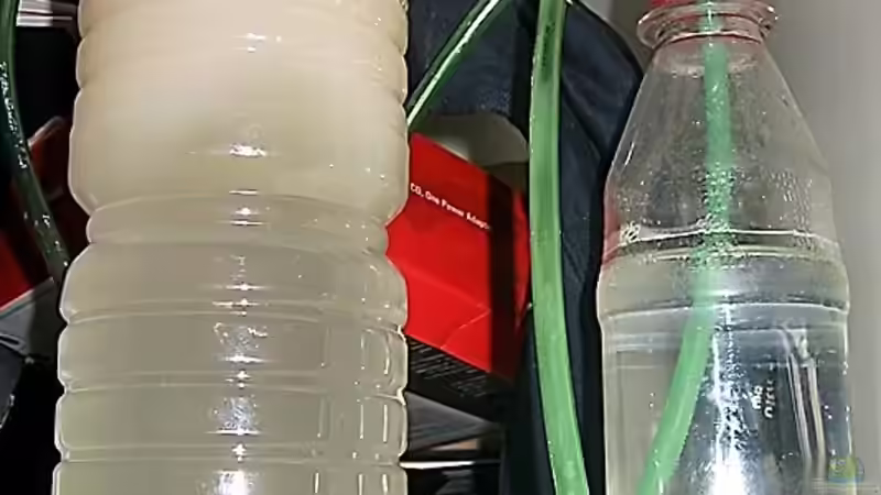 Bio-Co2-Anlage von Dennis Klusmann (20)