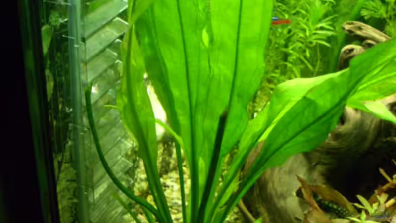 Bio Co2 Anlage von Mario Hey (3)