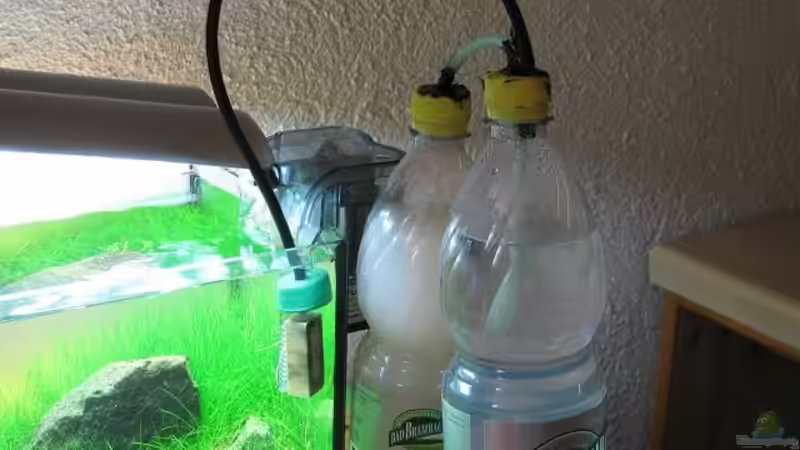 Bio Co2 Anlage von niva (14)