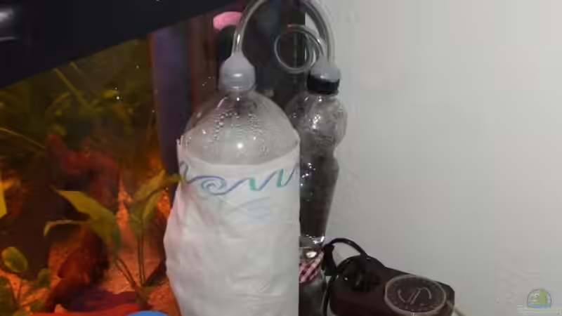 Bio CO2 Anlage von Schnuppi (4)