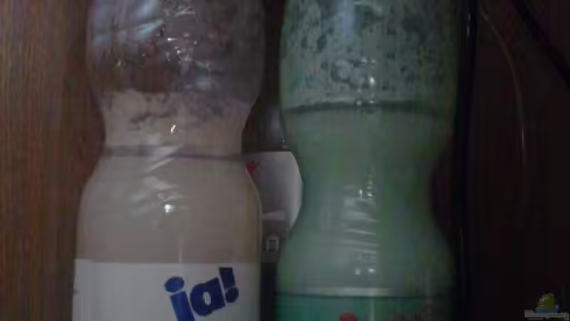 Bio Co2-Reaktor von Rainbowfan (23)