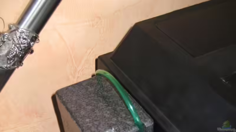 Bio CO2 von Robert Hajok (9)