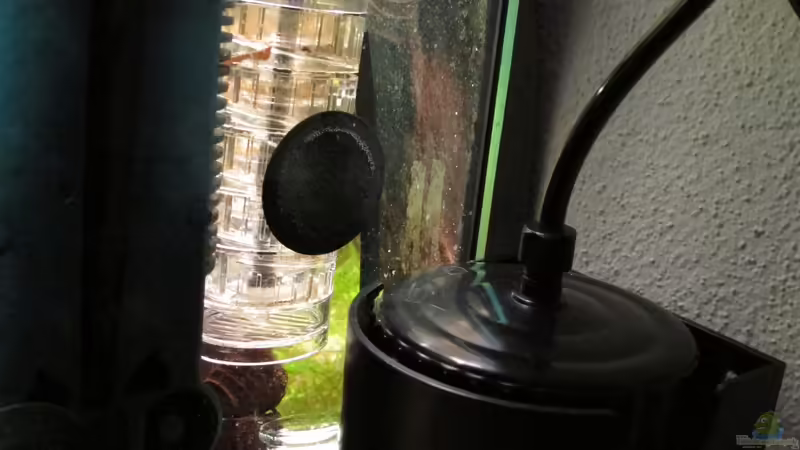 Bio Co2 von Sarah (21)