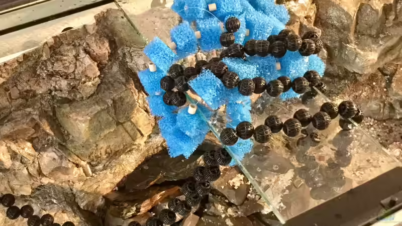 Bio-Filterbälle und Schaumstoff-Würfel, zu Perlketten aufgeschnürt auf Silkschnur von Steffi66 (33)