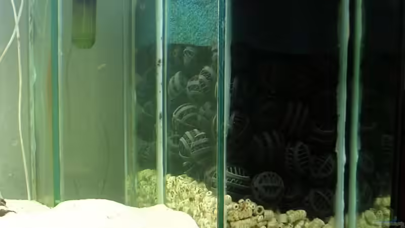 Bio Innenfilter mit Tunze Turbelle1002 von Sascha85 (7)