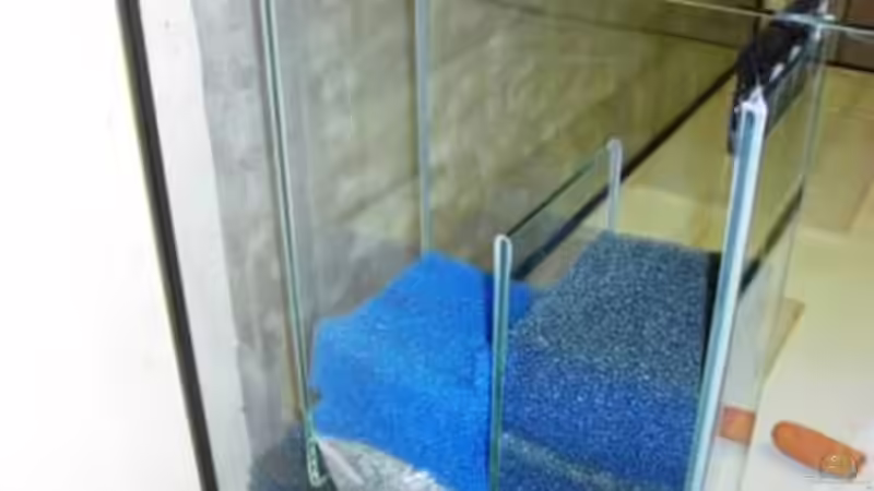 Bio Innenfilter noch an der Linken Seitenscheibe von breakfastklubber (9)