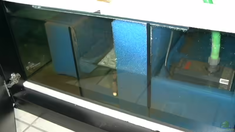 Biobecken von Thomas Kowollik (9)