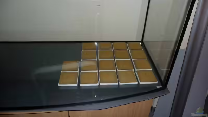 Biobodenplatten/die ich nach 6Wochen rausgeschmissen habe, von Mario Kosowski (2)