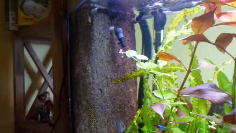 Biobox3 Innenfilter mit Epoxydharz,Torf und Quarzsand beschichtet von dirkvader71 (22)