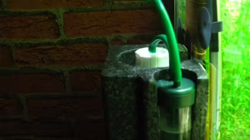 BioCo² von Marlone (13)