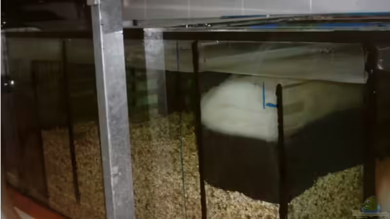 Biofilter 1 Volumen 375 Liter von Bernd Niehoff (21)